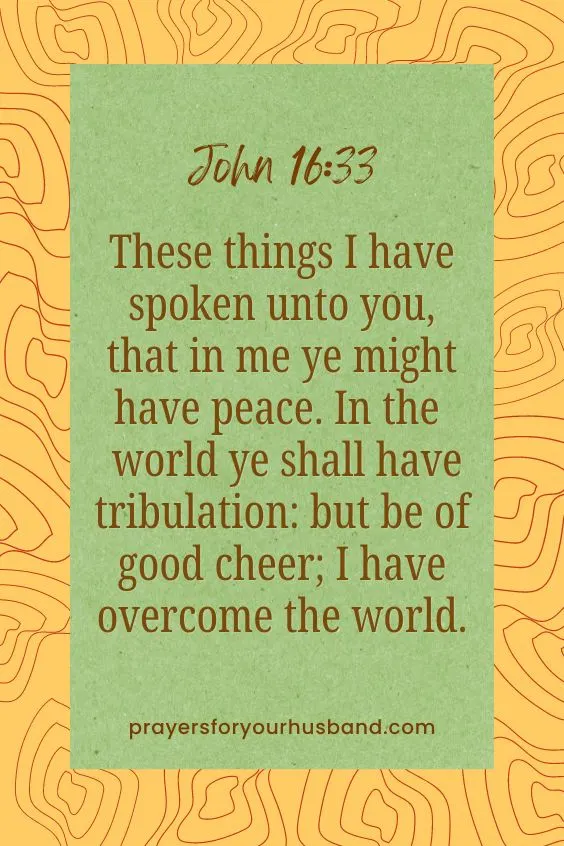 These things I have spoken unto you, that in me ye might have peace. In the world ye shall have tribulation: but be of good cheer; I have overcome the world. 