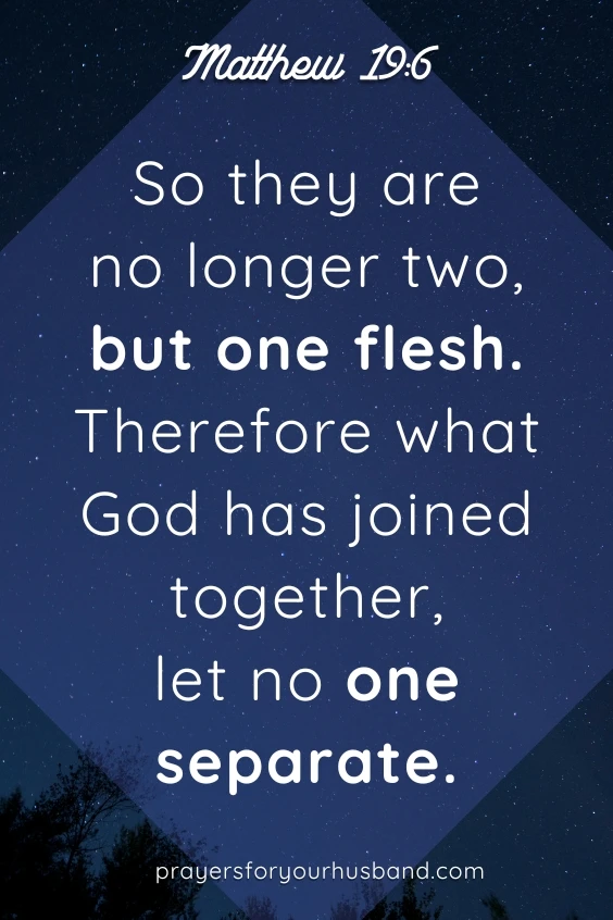 So they are no longer two, but one flesh. Therefore what God has joined together, let no one separate.