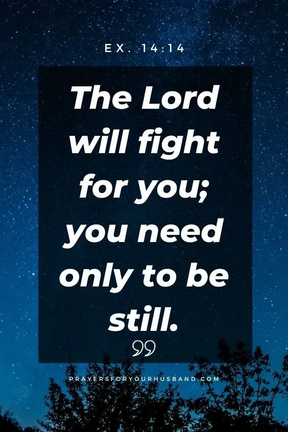 The Lord will fight for you; you need only to be still.