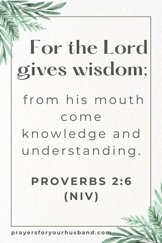 For the Lord gives wisdom; from his mouth come knowledge and understanding.
