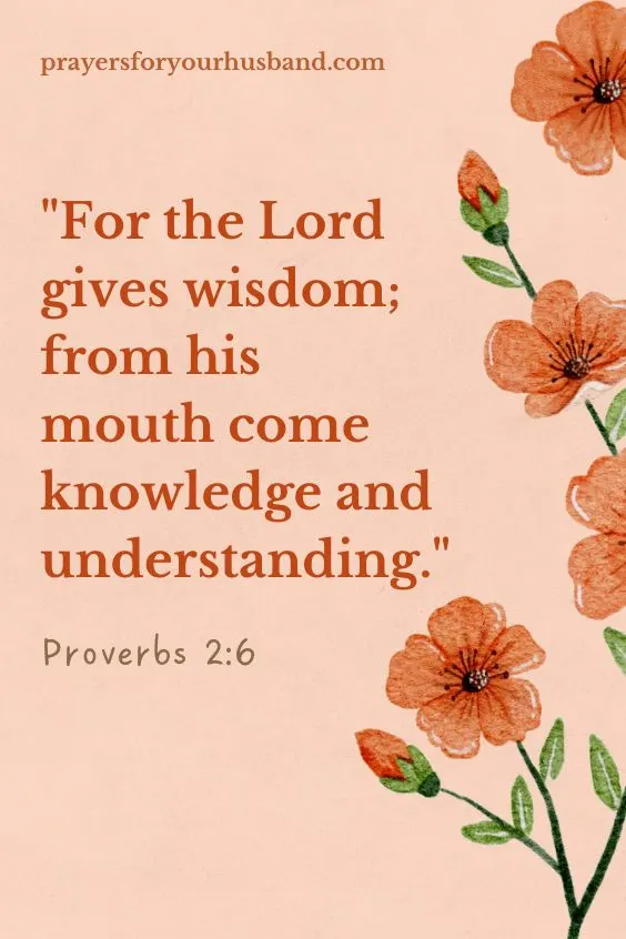 For the LORD gives wisdom; from his mouth come knowledge and understanding. Proverbs 2:6 (NIV