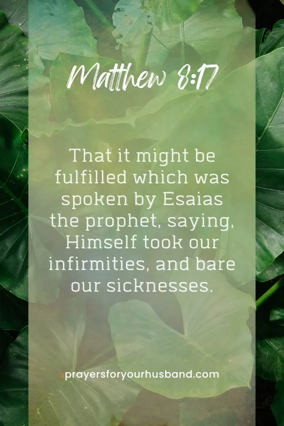 That it might be fulfilled which was spoken by Esaias the prophet, saying, Himself took our infirmities, and bare our sicknesses. Matthew 8:17
