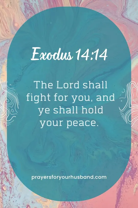 The Lord shall fight for you, and ye shall hold your peace. Exod. 14:14