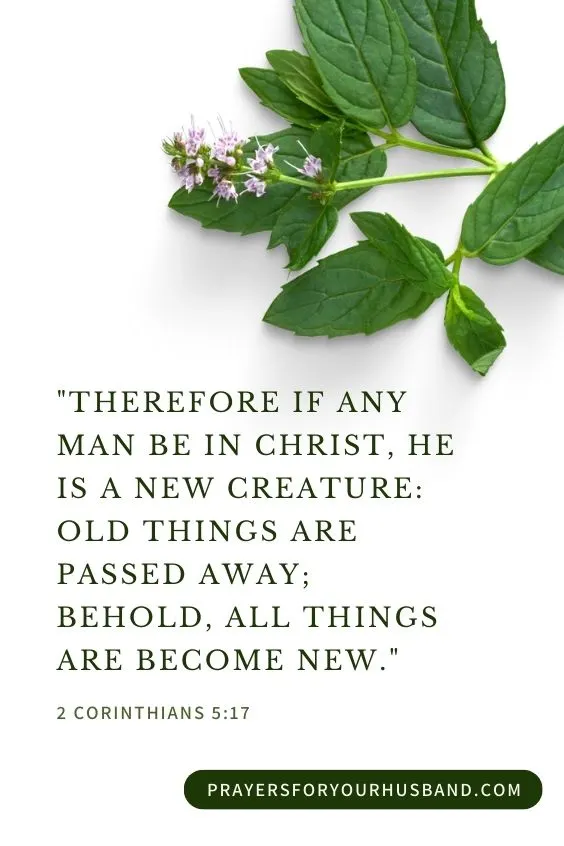 Therefore if any man be in Christ, he is a new creature: old things are passed away; behold, all things are become new. 2 Corinthians 5:17