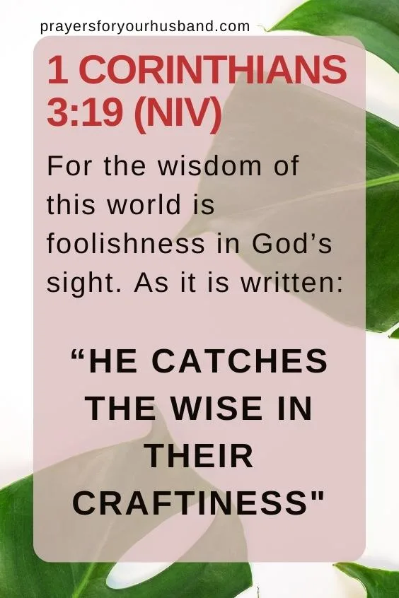 For the wisdom of this world is foolishness in God&rsquo;s sight. As it is written: &ldquo;He catches the wise in their craftiness