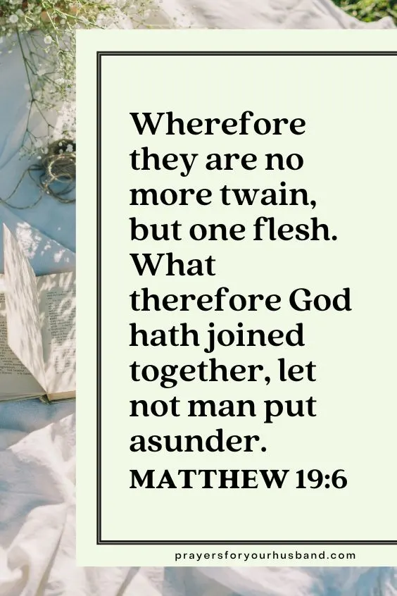 Wherefore they are no more twain, but one flesh. What therefore God hath joined together, let not man put asunder.