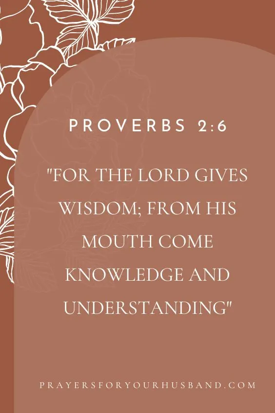 [For the Lord gives wisdom; from his mouth come knowledge and understanding; Proverbs 2:6 (ESV)] 