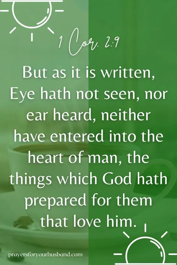 But as it is written, Eye hath not seen, nor ear heard, neither have entered into the heart of man, the things which God hath prepared for them that love him. 1 Cor. 2:9