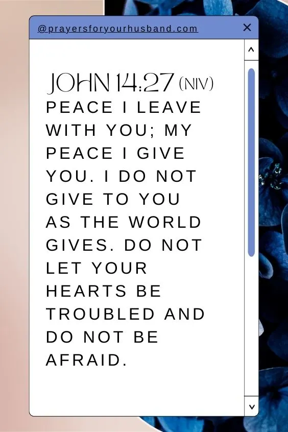 Peace I leave with you; my peace I give you. I do not give to you as the world gives. Do not let your hearts be troubled and do not be afraid. John 14:27 (NIV)