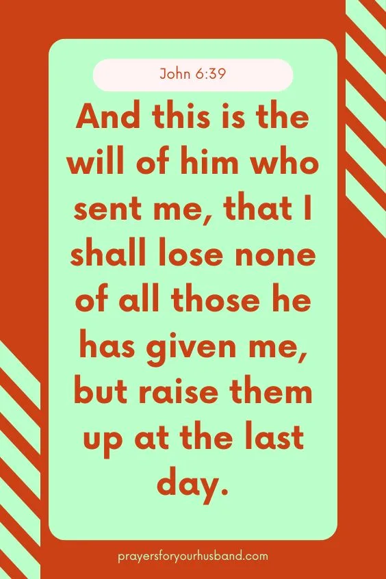 And this is the will of him who sent me, that I shall lose none of all those he has given me, but raise them up at the last day. John 6:39